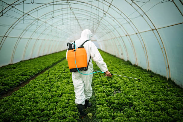 Reliable Caledonia, MI Pest Control Solutions