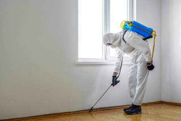 Best Termite Control Services  in Caledonia, MI
