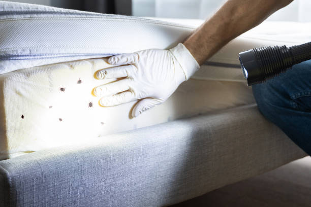 Best Pest Control Near Me  in Caledonia, MI