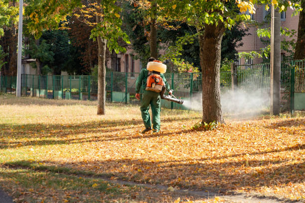 Best Rat Extermination Near Me  in Caledonia, MI