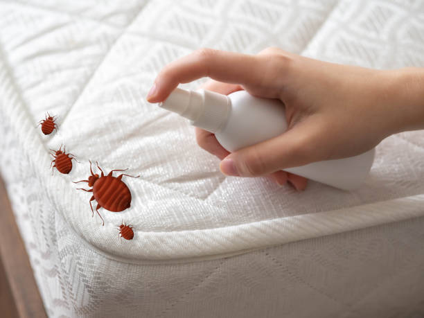 Best Residential Pest Control  in Caledonia, MI